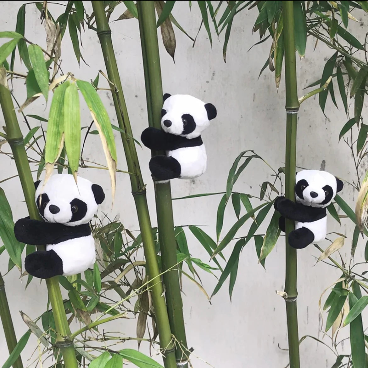 Cute Magnetic Panda ( Stuffed )